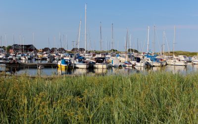 Forretningsorden for bestyrelsen 2023